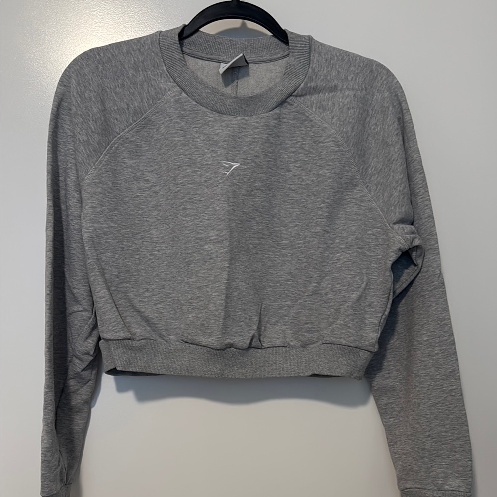 Gymshark Gray Cropped Long Sleeve Hoodie